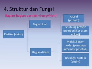 4. Struktur dan Fungsi
Bagian-bagian partikel virus (virion)
Partikel (virion)
Bagian luar
Bagian dalam
Kapsid
(protein)
Selubung protein
(pembungkus asam
nuklet)
Molekul asam
nuklet (pembawa
informasi genetika)
Berbagai protein
(enzim)
9
 