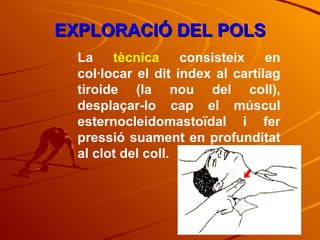 2.1.Valoració PrimàRia | PPT