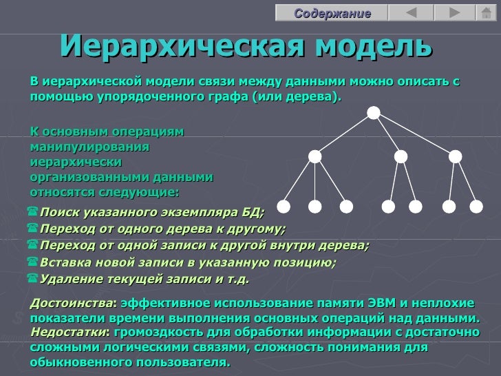2 что представляют собой виды. 2 что представляют собой виды