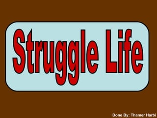 Struggle Life Done By: Thamer Harbi 
