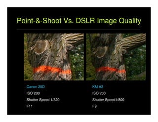 DSLR Camera Basics | PDF