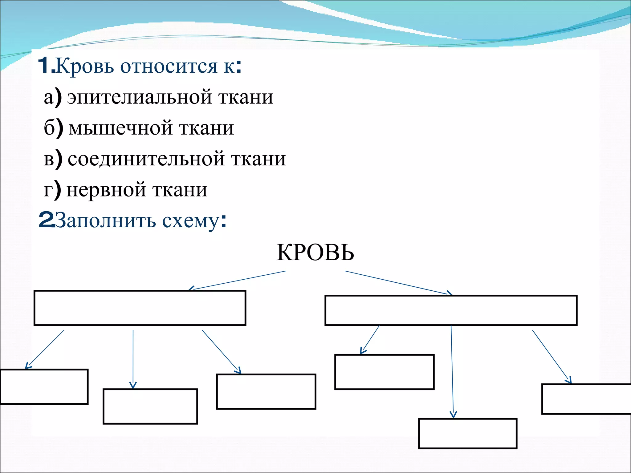 1.Кровь относится к: а) эпителиальной ткани б) мышечной ткани в) соединительной ткани г) нервной ткани 2.Заполнить схему: КРОВЬ 