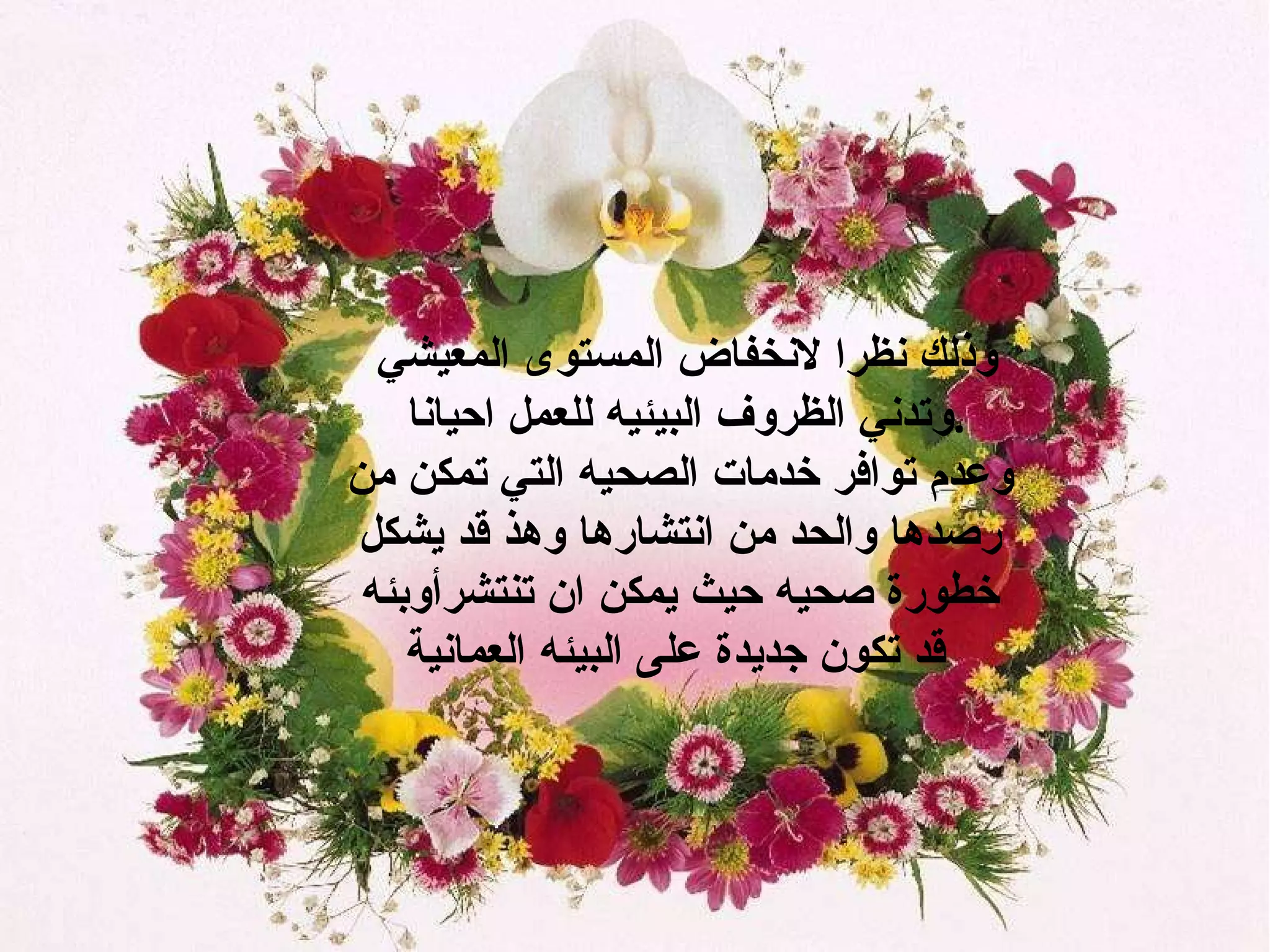 وذلك نظرا لانخفاض المستوى المعيشي  وتدني الظروف البيئيه للعمل احيانا  . وعدم توافر خدمات الصحيه التي تمكن من رصدها والحد من انتشارها وهذ قد يشكل خطورة صحيه حيث يمكن ان تنتشرأوبئه قد تكون جديدة على البيئه العمانية   