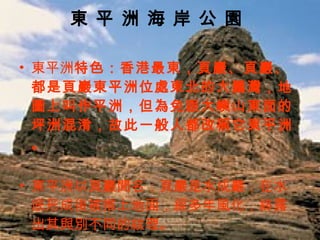 東 平 洲 海 岸 公 園  東平洲 特色：香港最東，頁巖、頁巖、都是頁巖東平洲位處東北的大鵬灣，地圖上叫作平洲，但為免跟大嶼山東面的坪洲混淆，故此一般人都改稱它東平洲。 東平洲以頁巖聞名；頁巖是水成巖，在水底形成後被推上地面，經多年風化，終露出其與別不同的紋理。 