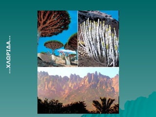 … ΧΛΩΡΙΔΑ… 