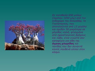 Σε τοποθεσία 650 μιλίων (περίπου 1050 χλμ) από την ενδοχώρα του Εκουαδόρ, τα Γκαλάπαγκος, που αποτελούνται από 13 μεγάλα και σχεδόν 50 μικρότερα σε μέγεθος νησιά, φτιαγμένα από ηφαιστιογενείς βράχους και λάβα, είναι γνωστά σαν καταφύγιο για είδη της  άγριας χλωρίδας  και πανίδας που δεν συναντά κανείς πουθενά αλλού στον κόσμο.  