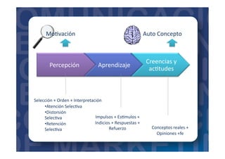 Percepción	
   Aprendizaje	
  
Creencias	
  y	
  
ac=tudes	
  
Selección	
  +	
  Orden	
  +	
  Interpretación	
  
• Atención	
  Selec=va	
  
• Distorsión	
  
Selec=va	
  
• Retención	
  
Selec=va	
  
Impulsos	
  +	
  Es_mulos	
  +	
  
Indicios	
  +	
  Respuestas	
  +	
  
Refuerzo	
   Conceptos	
  reales	
  +	
  	
  
Opiniones	
  +fe	
  
Mo=vación	
   Auto	
  Concepto	
  
 
