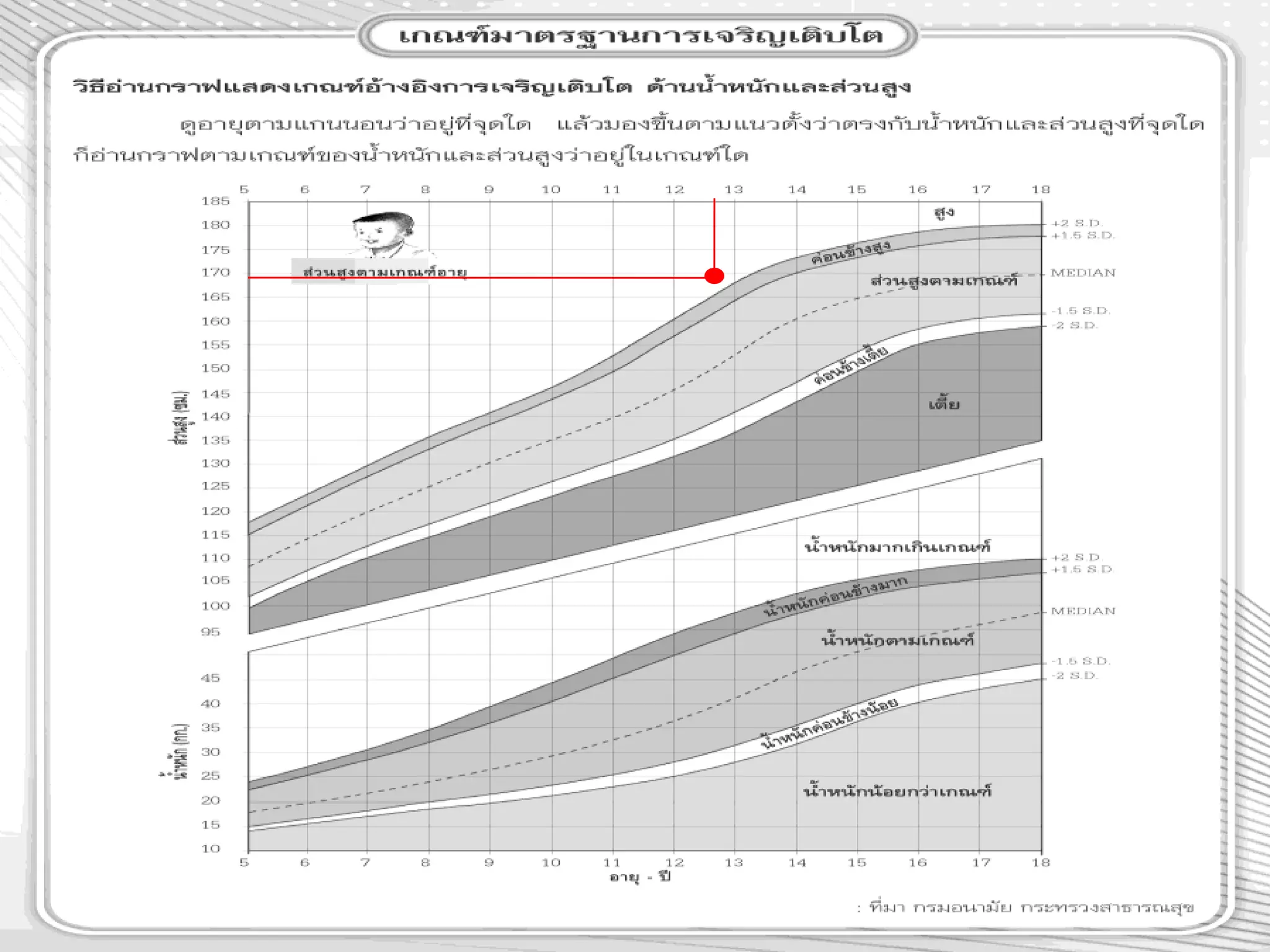 ตัวฉัน 2
