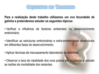  Fornecimento de cálcio para o desenvolvimento embrionário.Na composição do ovo entram diversas proteínas, cujas funções são diversas: Constituem uma boa reserva de água;