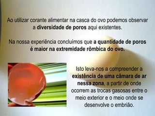  Impedem o crescimento bacteriano;