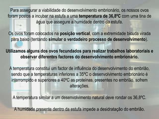 Constituem boas reservas nutritivas.Quando cozido o ovo, estas proteínas sofrem desnaturação.Sabe se os ovos que come são de origem natural ou artificial?Quando cozido, o ovo mostra-nos a sua origem! Basta que faça um corte longitudinal sobre o ovo cozido e observe a gema.Se esta apresentar diversas camadas concêntricas, que alternam entre cor mais clara e mais escura, significa que o seu ovo é de origem natural!Porquê?Sabe-se que a produção de pigmentos carotenóides é estimulada pela luz e através da alimentação da a fêmea armazena-os no ovo. Como as galinhas do campo sofrem a alteração de dia/noite uma parte dos carotenos é armazenada de dia e outra parte é armazenada de noite, assim se explica a origem do seu ovo!