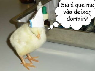  Conservação da estrutura celular.Caixa de Petri com o Fixador de Carnoy