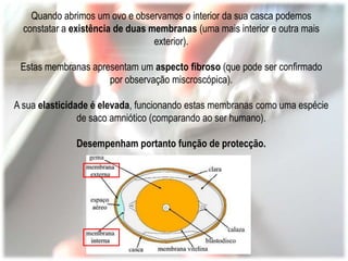 Testar a função de alguns dos seus componentes.