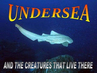 UNDERSEA AND THE CREATURES THAT LIVE THERE 