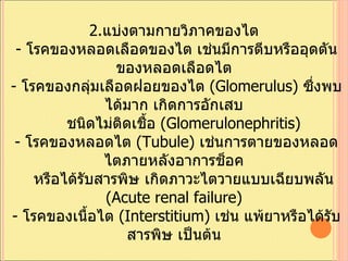 2. ???????????????????? ? -  ???????????????????? ???????????????????????????????????? ? -  ????????????????????????  ( Glomerulus)  ???????????? ????????????? ??? ???????????????  ( Glomerulonephritis) ?-  ????????????  ( Tubule)  ??????????????????????????????????? ??? ???????????????? ?????????????????????????  ( Acute renal failure) ?-  ?????????????  ( Interstitium)  ???? ????????????????????? ??????? 3.  ?????????????? ?????????????????????????  2  ????? ? -  ???????????????????? ?????????????????????????????? ? -  ?????????????????? ???? ?????????????????? ?????????? ???  SLE 