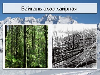 Хөгжмийн аялгуу яагаад өнгө аястай байдаг вэ? 
