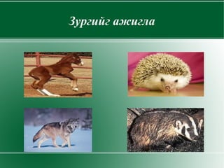 Зургийг ажигла 