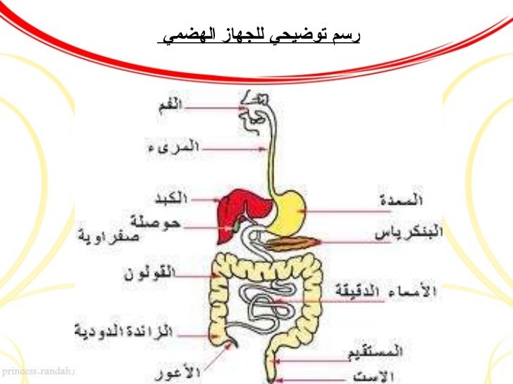 علوم 2