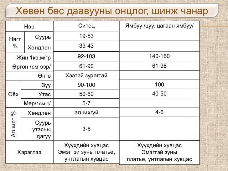 нандиа2