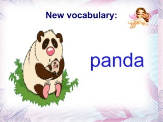 New vocabulary: Polar bear 