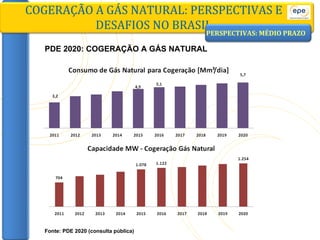 PDE 2020: COGERAÇÃO A GÁS NATURAL COGERAÇÃO A GÁS NATURAL: PERSPECTIVAS E DESAFIOS NO BRASIL Fonte: PDE 2020 (consulta pública) PERSPECTIVAS: MÉDIO PRAZO 