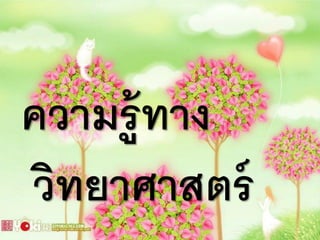ความร้ ู ทาง
วิทยาศาสตร์
 