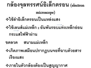 กล้ องจุลทรรศน์ อเล็กตรอน (electron
                 ิ
                    microscope)
ใช้ ลาอิเล็กตรอนเป็ นแหล่ งแสง

ใช้ เลนส์ แม่ เหล็ก 2 อันพันรอบแท่ งเหล็กอ่ อน
 กระแสไฟฟาผ่ าน
             ้
ขดลวด สนามแม่ เหล็ก
เกิดภาพเสมือนปรากฏบนจอที่ฉาบด้ วยสาร
 เรื องแสง
ภายในตัวกล้ องต้ องเป็ นสูญญากาศ
 