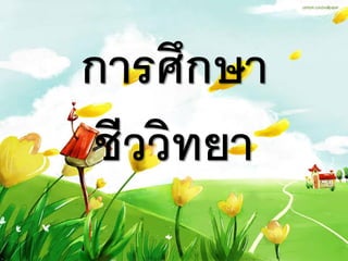 การศึกษา
 ชีววิทยา
 