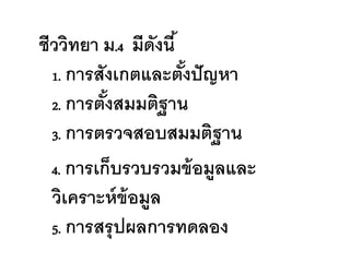 ชีววิทยา ม.4 มีดังนี ้
  1. การสังเกตและตังปั ญหา
                       ้
  2. การตังสมมติฐาน
          ้
  3. การตรวจสอบสมมติฐาน

  4. การเก็บรวบรวมข้ อมูลและ
  วิเคราะห์ ข้อมูล
  5. การสรุ ปผลการทดลอง
 