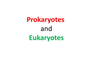 Prokaryotes andEukaryotes 