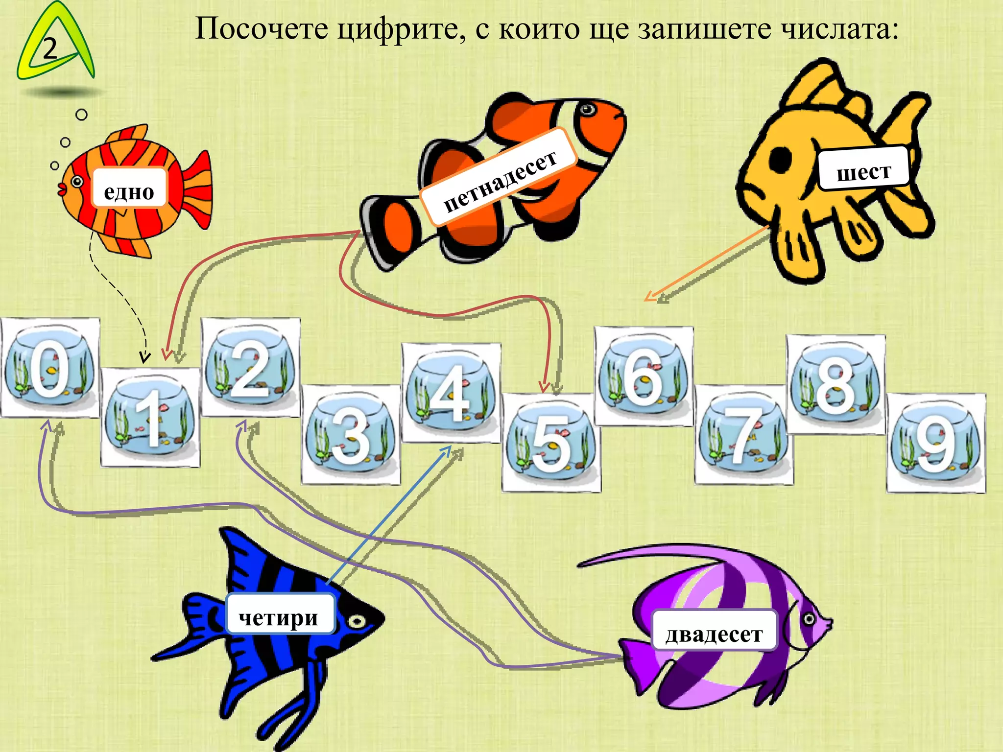 Посочете цифрите, с които ще запишете числата: петнадесет 2 едно четири шест двадесет 