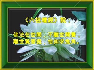 《六祖壇經》說：佛法在世間，不離世間覺，離世覓菩提，恰如求兔角。