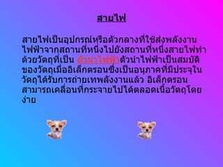 สายไฟ สายไฟเป็นอุปกรณ์หรือตัวกลางที่ใช้ส่งพลังงานไฟฟ้าจากสถานที่หนึ่งไปยังสถานที่หนึ่งสายไฟทำด้วยวัตถุที่เป็น  ตัวนำไฟฟ้า ตัวนำไฟฟ้าเป็นสมบัติของวัตถุเมื่ออิเล็กตรอนซึ่งเป็นอนุภาคที่มีประจุในวัตถุได้รับการถ่ายเทพลังงานแล้ว อิเล็กตรอนสามารถเคลื่อนที่กระจายไปได้ตลอดเนื้อวัตถุโดยง่าย 