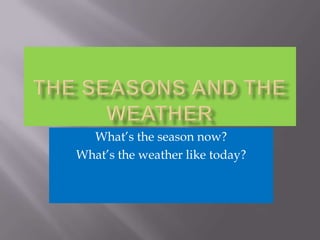 The Seasons and the weather What’s the season now? What’s the weather like today? 