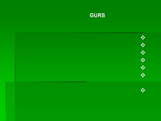 קורות מנחם קוריאט 2