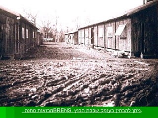 מבואות מחנה  BRENS .  ניתן להבחין בעומק שכבת הבוץ . 