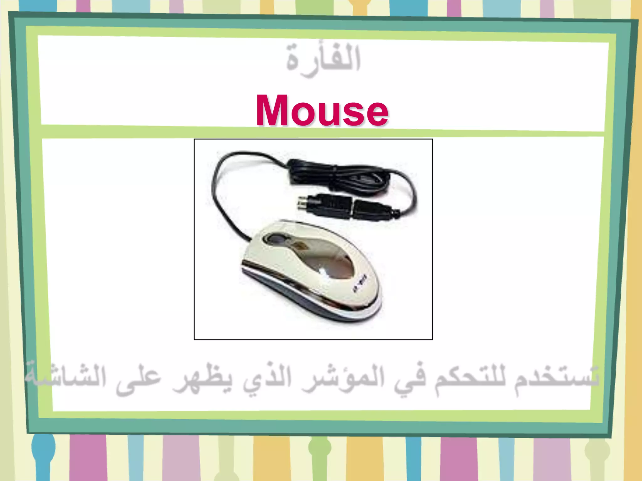 Mouse