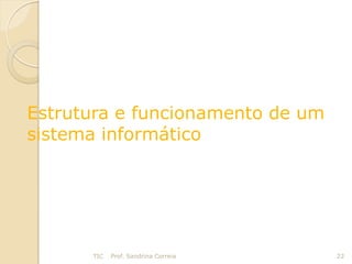 Estrutura e funcionamento de um
sistema informático




      TIC   Prof. Sandrina Correia   22
 