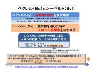 2011/11/19                                                                  16
             http://www.fsc.go.jp/sonota/emerg/emerg_torimatome_zukai.pdf
 