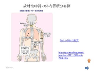 放射性物質の体内蓄積分布図




                       体内の放射性物質




                      http://yumeno.blog.eonet.
                      jp/misuzu/2011/06/post-
                      2dc2.html


2011/11/19                                        54
 