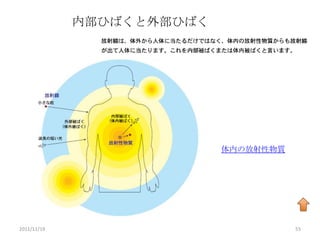 内部ひばくと外部ひばく




                           体内の放射性物質




2011/11/19                            55
 