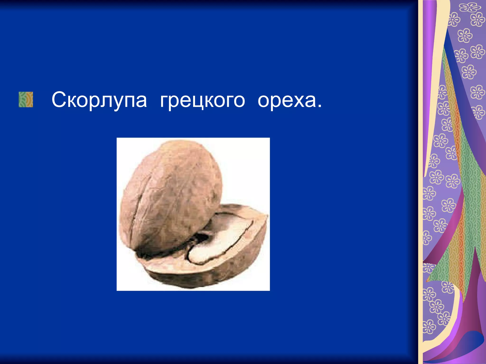 Скорлупа  грецкого  ореха.  