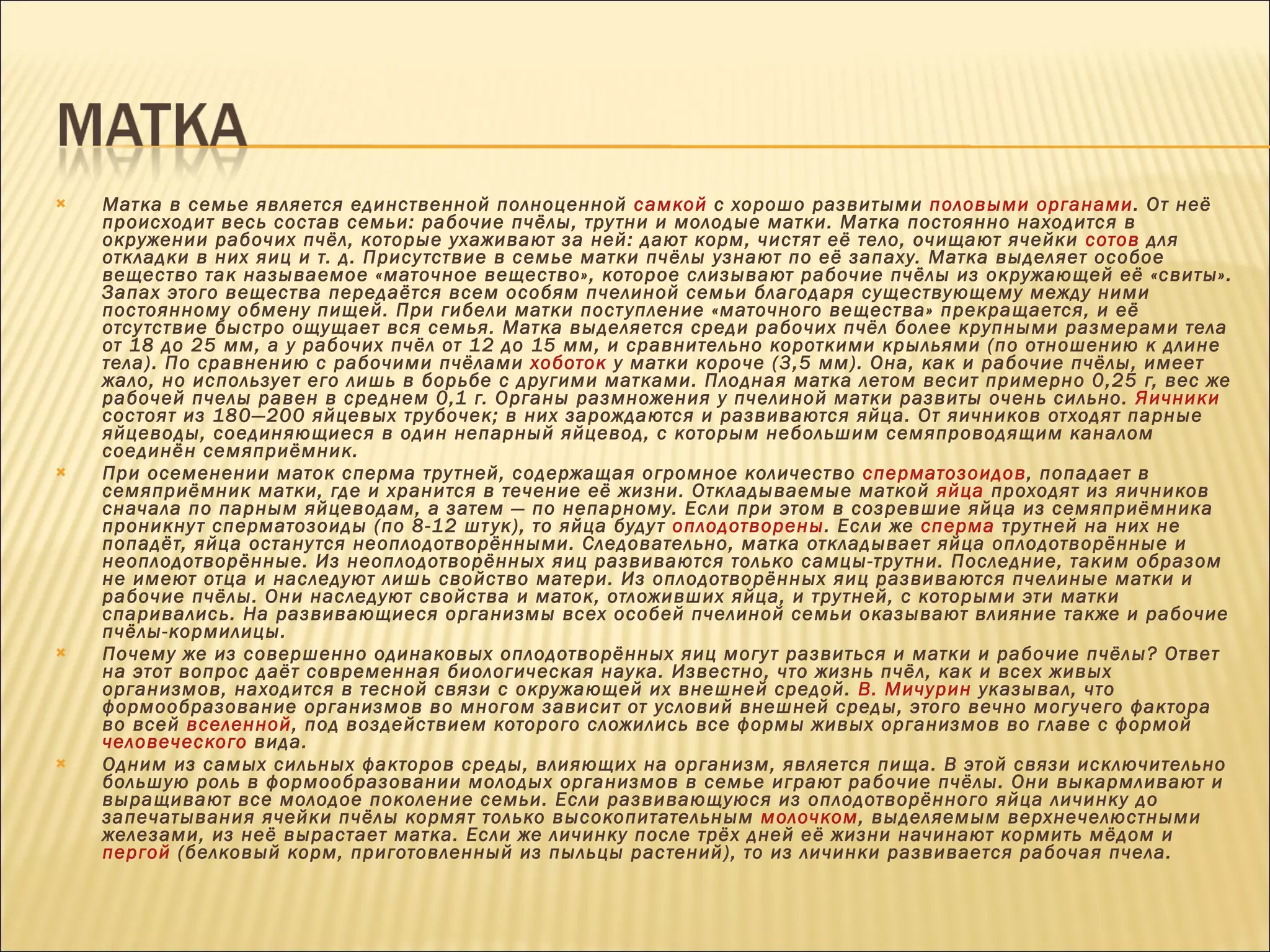 Матка в семье является единственной полноценной  самкой  с хорошо развитыми  половыми органами . От неё происходит весь состав семьи: рабочие пчёлы, трутни и молодые матки. Матка постоянно находится в окружении рабочих пчёл, которые ухаживают за ней: дают корм, чистят её тело, очищают ячейки  сотов  для откладки в них яиц и т. д. Присутствие в семье матки пчёлы узнают по её запаху. Матка выделяет особое вещество так называемое «маточное вещество», которое слизывают рабочие пчёлы из окружающей её «свиты». Запах этого вещества передаётся всем особям пчелиной семьи благодаря существующему между ними постоянному обмену пищей. При гибели матки поступление «маточного вещества» прекращается, и её отсутствие быстро ощущает вся семья. Матка выделяется среди рабочих пчёл более крупными размерами тела от 18 до 25 мм, а у рабочих пчёл от 12 до 15 мм, и сравнительно короткими крыльями (по отношению к длине тела). По сравнению с рабочими пчёлами  хоботок  у матки короче (3,5 мм). Она, как и рабочие пчёлы, имеет жало, но использует его лишь в борьбе с другими матками. Плодная матка летом весит примерно 0,25 г, вес же рабочей пчелы равен в среднем 0,1 г. Органы размножения у пчелиной матки развиты очень сильно.  Яичники  состоят из 180—200 яйцевых трубочек; в них зарождаются и развиваются яйца. От яичников отходят парные яйцеводы, соединяющиеся в один непарный яйцевод, с которым небольшим семяпроводящим каналом соединён семяприёмник. При осеменении маток сперма трутней, содержащая огромное количество  сперматозоидов , попадает в семяприёмник матки, где и хранится в течение её жизни. Откладываемые маткой  яйца  проходят из яичников сначала по парным яйцеводам, а затем — по непарному. Если при этом в созревшие яйца из семяприёмника проникнут сперматозоиды (по 8-12 штук), то яйца будут  оплодотворены . Если же  сперма  трутней на них не попадёт, яйца останутся неоплодотворёнными. Следовательно, матка откладывает яйца оплодотворённые и неоплодотворённые. Из неоплодотворённых яиц развиваются только самцы-трутни. Последние, таким образом не имеют отца и наследуют лишь свойство матери. Из оплодотворённых яиц развиваются пчелиные матки и рабочие пчёлы. Они наследуют свойства и маток, отложивших яйца, и трутней, с которыми эти матки спаривались. На развивающиеся организмы всех особей пчелиной семьи оказывают влияние также и рабочие пчёлы-кормилицы. Почему же из совершенно одинаковых оплодотворённых яиц могут развиться и матки и рабочие пчёлы? Ответ на этот вопрос даёт современная биологическая наука. Известно, что жизнь пчёл, как и всех живых организмов, находится в тесной связи с окружающей их внешней средой.  В. Мичурин  указывал, что формообразование организмов во многом зависит от условий внешней среды, этого вечно могучего фактора во всей  вселенной , под воздействием которого сложились все формы живых организмов во главе с формой  человеческого  вида. Одним из самых сильных факторов среды, влияющих на организм, является пища. В этой связи исключительно большую роль в формообразовании молодых организмов в семье играют рабочие пчёлы. Они выкармливают и выращивают все молодое поколение семьи. Если развивающуюся из оплодотворённого яйца личинку до запечатывания ячейки пчёлы кормят только высокопитательным  молочком , выделяемым верхнечелюстными железами, из неё вырастает матка. Если же личинку после трёх дней её жизни начинают кормить мёдом и  пергой  (белковый корм, приготовленный из пыльцы растений), то из личинки развивается рабочая пчела. 