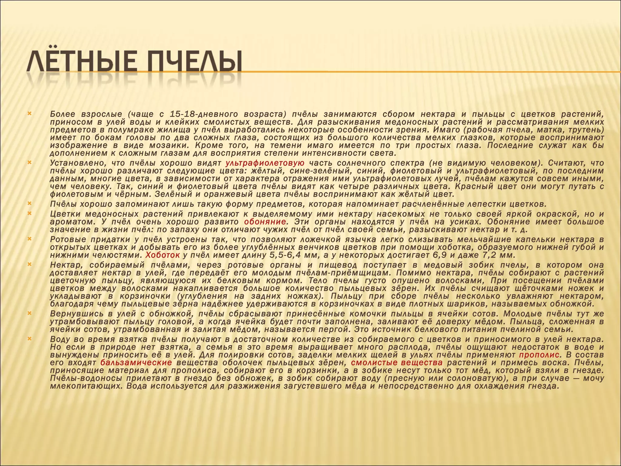 Более взрослые (чаще с 15-18-дневного возраста) пчёлы занимаются сбором нектара и пыльцы с цветков растений, приносом в улей воды и клейких смолистых веществ. Для разыскивания медоносных растений и рассматривания мелких предметов в полумраке жилища у пчёл выработались некоторые особенности зрения. Имаго (рабочая пчела, матка, трутень) имеет по бокам головы по два сложных глаза, состоящих из большого количества мелких глазков, которые воспринимают изображение в виде мозаики. Кроме того, на темени имаго имеется по три простых глаза. Последние служат как бы дополнением к сложным глазам для восприятия степени интенсивности света. Установлено, что пчёлы хорошо видят  ультрафиолетовую  часть солнечного спектра (не видимую человеком). Считают, что пчёлы хорошо различают следующие цвета: жёлтый, сине-зелёный, синий, фиолетовый и ультрафиолетовый, по последним данным, многие цвета, в зависимости от характера отражения ими ультрафиолетовых лучей, пчёлам кажутся совсем иными, чем человеку. Так, синий и фиолетовый цвета пчёлы видят как четыре различных цвета. Красный цвет они могут путать с фиолетовым и чёрным. Зелёный и оранжевый цвета пчёлы воспринимают как жёлтый цвет. Пчёлы хорошо запоминают лишь такую форму предметов, которая напоминает расчленённые лепестки цветков. Цветки медоносных растений привлекают к выделяемому ими нектару насекомых не только своей яркой окраской, но и ароматом. У пчёл очень хорошо развито  обоняние . Эти органы находятся у пчёл на усиках. Обоняние имеет большое значение в жизни пчёл: по запаху они отличают чужих пчёл от пчёл своей семьи, разыскивают нектар и т. д. Ротовые придатки у пчёл устроены так, что позволяют ложечкой язычка легко слизывать мельчайшие капельки нектара в открытых цветках и добывать его из более углублённых венчиков цветков при помощи хоботка, образуемого нижней губой и нижними челюстями.  Хоботок  у пчёл имеет длину 5,5-6,4 мм, а у некоторых достигает 6,9 и даже 7,2 мм. Нектар, собираемый пчёлами, через ротовые органы и пищевод поступает в медовый зобик пчелы, в котором она доставляет нектар в улей, где передаёт его молодым пчёлам-приёмщицам. Помимо нектара, пчёлы собирают с растений цветочную пыльцу, являющуюся их белковым кормом. Тело пчелы густо опушено волосками, При посещении пчёлами цветков между волосками накапливается большое количество пыльцевых зёрен. Их пчёлы счищают щёточками ножек и укладывают в корзиночки (углубления на задних ножках). Пыльцу при сборе пчёлы несколько увлажняют нектаром, благодаря чему пыльцевые зёрна надёжнее удерживаются в корзиночках в виде плотных шариков, называемых обножкой. Вернувшись в улей с обножкой, пчёлы сбрасывают принесённые комочки пыльцы в ячейки сотов. Молодые пчёлы тут же утрамбовывают пыльцу головой, а когда ячейка будет почти заполнена, заливают её доверху мёдом. Пыльца, сложенная в ячейки сотов, утрамбованная и залитая мёдом, называется пергой. Это источник белкового питания пчелиной семьи. Воду во время взятка пчёлы получают в достаточном количестве из собираемого с цветков и приносимого в улей нектара. Но если в природе нет взятка, а семья в это время выращивает много расплода, пчёлы ощущают недостаток в воде и вынуждены приносить её в улей. Для полировки сотов, заделки мелких щелей в ульях пчёлы применяют  прополис . В состав его входят  бальзамические  вещества оболочек пыльцевых зёрен,  смолистые вещества  растений и примесь воска. Пчёлы, приносящие материал для прополиса, собирают его в корзинки, а в зобике несут только тот мёд, который взяли в гнезде. Пчёлы-водоносы прилетают в гнездо без обножек, в зобик собирают воду (пресную или солоноватую), а при случае — мочу млекопитающих. Вода используется для разжижения загустевшего мёда и непосредственно для охлаждения гнезда. 