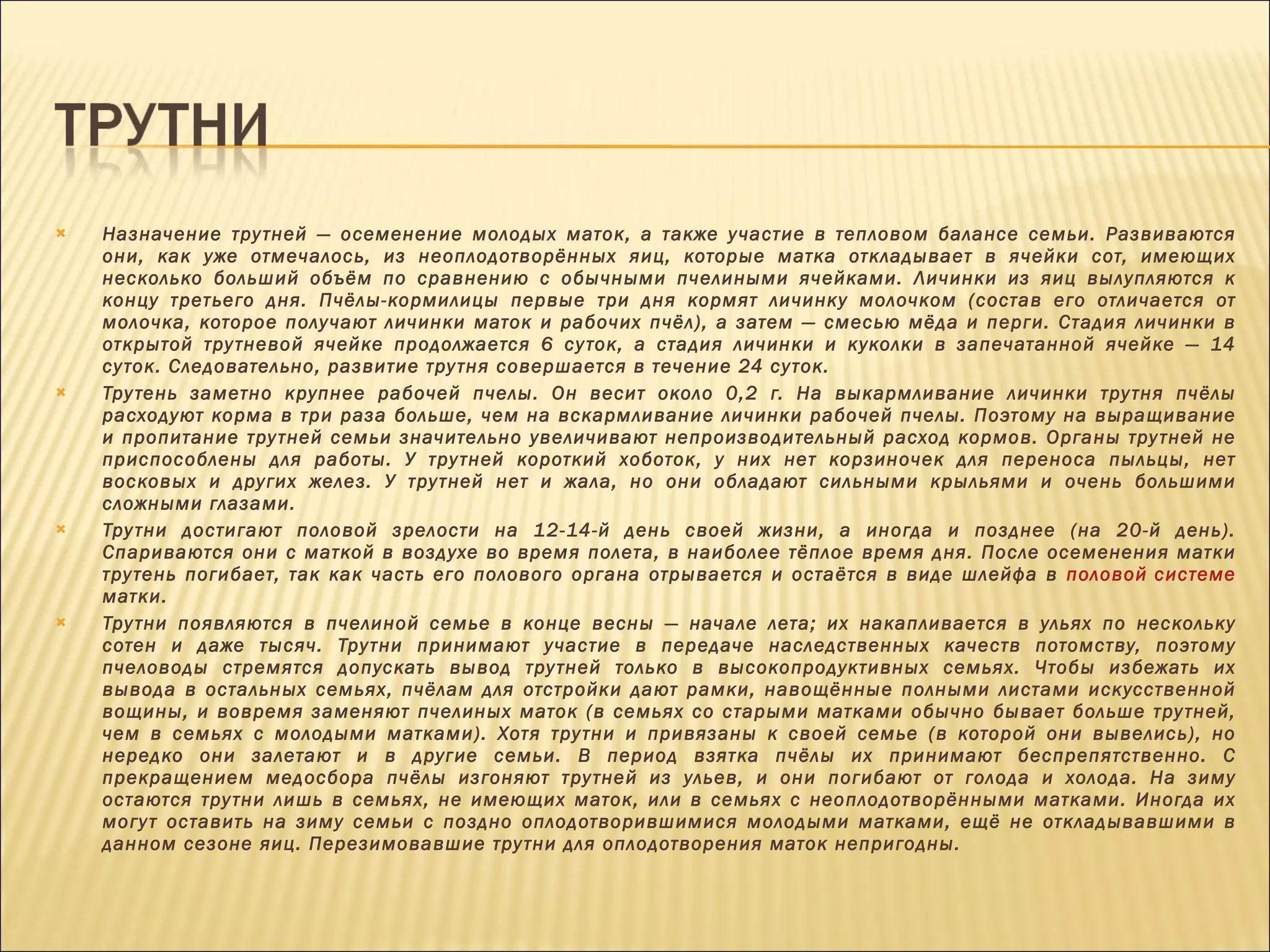Назначение трутней — осеменение молодых маток, а также участие в тепловом балансе семьи. Развиваются они, как уже отмечалось, из неоплодотворённых яиц, которые матка откладывает в ячейки сот, имеющих несколько больший объём по сравнению с обычными пчелиными ячейками. Личинки из яиц вылупляются к концу третьего дня. Пчёлы-кормилицы первые три дня кормят личинку молочком (состав его отличается от молочка, которое получают личинки маток и рабочих пчёл), а затем — смесью мёда и перги. Стадия личинки в открытой трутневой ячейке продолжается 6 суток, а стадия личинки и куколки в запечатанной ячейке — 14 суток. Следовательно, развитие трутня совершается в течение 24 суток. Трутень заметно крупнее рабочей пчелы. Он весит около 0,2 г. На выкармливание личинки трутня пчёлы расходуют корма в три раза больше, чем на вскармливание личинки рабочей пчелы. Поэтому на выращивание и пропитание трутней семьи значительно увеличивают непроизводительный расход кормов. Органы трутней не приспособлены для работы. У трутней короткий хоботок, у них нет корзиночек для переноса пыльцы, нет восковых и других желез. У трутней нет и жала, но они обладают сильными крыльями и очень большими сложными глазами. Трутни достигают половой зрелости на 12-14-й день своей жизни, а иногда и позднее (на 20-й день). Спариваются они с маткой в воздухе во время полета, в наиболее тёплое время дня. После осеменения матки трутень погибает, так как часть его полового органа отрывается и остаётся в виде шлейфа в  половой системе  матки. Трутни появляются в пчелиной семье в конце весны — начале лета; их накапливается в ульях по нескольку сотен и даже тысяч. Трутни принимают участие в передаче наследственных качеств потомству, поэтому пчеловоды стремятся допускать вывод трутней только в высокопродуктивных семьях. Чтобы избежать их вывода в остальных семьях, пчёлам для отстройки дают рамки, навощённые полными листами искусственной вощины, и вовремя заменяют пчелиных маток (в семьях со старыми матками обычно бывает больше трутней, чем в семьях с молодыми матками). Хотя трутни и привязаны к своей семье (в которой они вывелись), но нередко они залетают и в другие семьи. В период взятка пчёлы их принимают беспрепятственно. С прекращением медосбора пчёлы изгоняют трутней из ульев, и они погибают от голода и холода. На зиму остаются трутни лишь в семьях, не имеющих маток, или в семьях с неоплодотворёнными матками. Иногда их могут оставить на зиму семьи с поздно оплодотворившимися молодыми матками, ещё не откладывавшими в данном сезоне яиц. Перезимовавшие трутни для оплодотворения маток непригодны. 