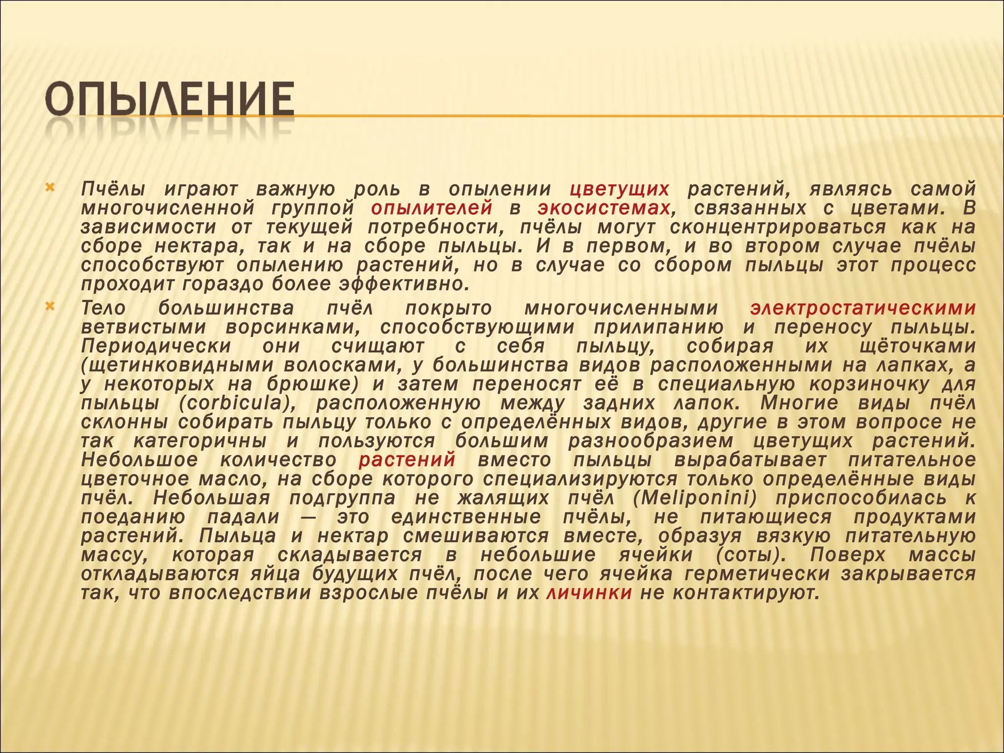 Пчёлы играют важную роль в опылении  цветущих  растений, являясь самой многочисленной группой  опылителей  в  экосистемах , связанных с цветами. В зависимости от текущей потребности, пчёлы могут сконцентрироваться как на сборе нектара, так и на сборе пыльцы. И в первом, и во втором случае пчёлы способствуют опылению растений, но в случае со сбором пыльцы этот процесс проходит гораздо более эффективно. Тело большинства пчёл покрыто многочисленными  электростатическими  ветвистыми ворсинками, способствующими прилипанию и переносу пыльцы. Периодически они счищают с себя пыльцу, собирая их щёточками (щетинковидными волосками, у большинства видов расположенными на лапках, а у некоторых на брюшке) и затем переносят её в специальную корзиночку для пыльцы (corbicula), расположенную между задних лапок. Многие виды пчёл склонны собирать пыльцу только с определённых видов, другие в этом вопросе не так категоричны и пользуются большим разнообразием цветущих растений. Небольшое количество  растений  вместо пыльцы вырабатывает питательное цветочное масло, на сборе которого специализируются только определённые виды пчёл. Небольшая подгруппа не жалящих пчёл (Meliponini) приспособилась к поеданию падали — это единственные пчёлы, не питающиеся продуктами растений. Пыльца и нектар смешиваются вместе, образуя вязкую питательную массу, которая складывается в небольшие ячейки (соты). Поверх массы откладываются яйца будущих пчёл, после чего ячейка герметически закрывается так, что впоследствии взрослые пчёлы и их  личинки  не контактируют. 