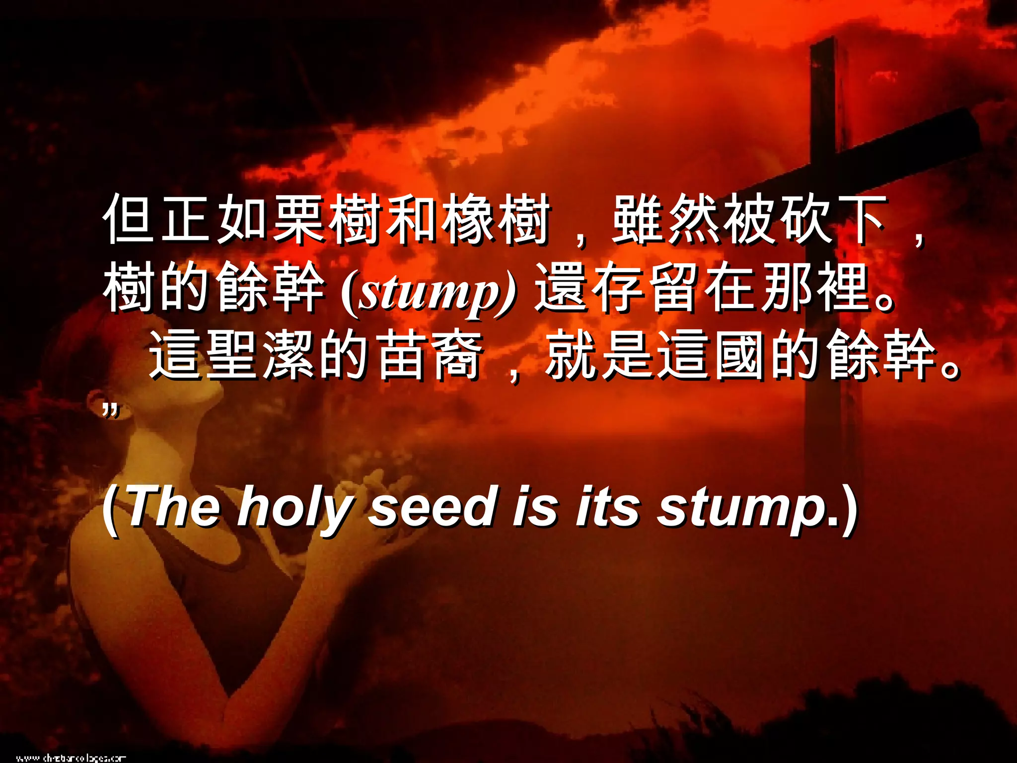 但正如栗樹和橡樹，雖然被砍下，樹的餘幹 ( stump) 還存留在那裡。  這聖潔的苗裔，就是這國的餘幹。” ( The holy seed is its stump .) 