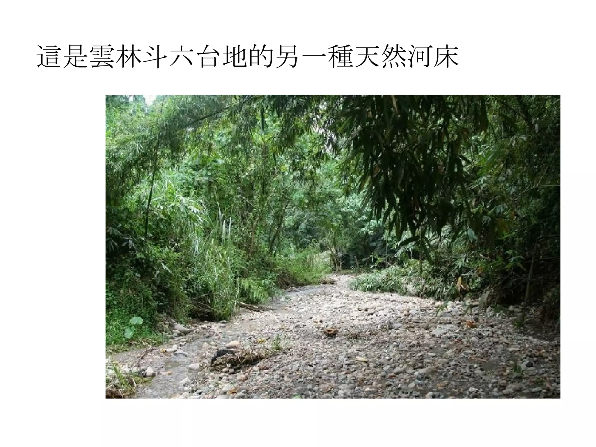 這是雲林斗六台地的另一種天然河床  