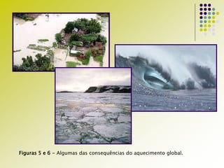 Figuras 5 e 6 - Algumas das consequências do aquecimento global.
 