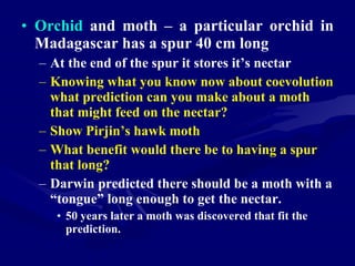 Orchid Coevolution Example 2 12 09 Coevolution | PPT